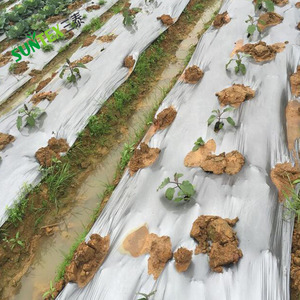 Film de paillage agricole en <span class=keywords><strong>plastique</strong></span> argenté pour la <span class=keywords><strong>protection</strong></span> des cultures et l'anti-mauvaises herbes - Product Image 4