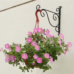 En Fer forgé Crochets Suspendus Support <span class=keywords><strong>de</strong></span> Plante Pot <span class=keywords><strong>De</strong></span> <span class=keywords><strong>Fleur</strong></span> Porte-Crochets Classique L'aménagement Paysager - Product Image 4