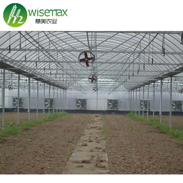 Commercial polytunnel greenhouse misting agricultural greenhouse