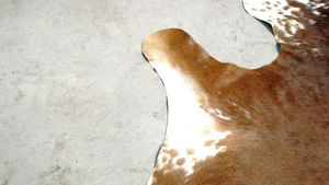 Cow Hide Rug - Product Image 4