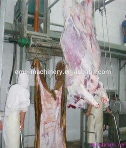 <span class=keywords><strong>Meilleur</strong></span> prix pour l'équipement d'abattoir de bétail, machine à écorcher les vaches pour la ligne d'abattage - Product Image 5