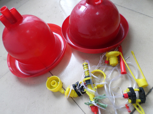 Bâtonnets automatiques pour élevage de volaille, de haute qualité, ml, abreuvoir à sonnette en plastique et poulet - Product Image 5