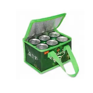 Factory durable waterproof multi purpose foldable large cooler box six can insulated pp woven cooler bag