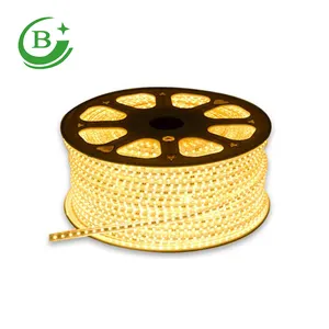 야외 rgb led 스트립 cuttable 110V 220V 60LEDs/M 밝은 플렉스 리본 3528