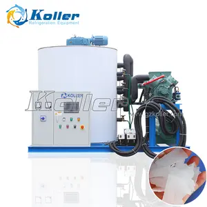 China 10 Tons/day Containerized Snow Flake Ice Machine Easy Control High Reliable Cooling Ice Flake Machine For Fish Cooling