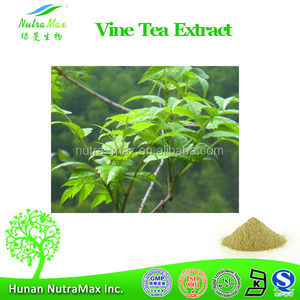 Poudre d'extrait de plante en vrac Extrait de thé de vigne naturel 98% <span class=keywords><strong>DHM</strong></span> - Product Image 5