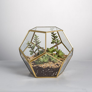 Fünfeckiges Kugelförmiges Offenes Glas Geometrisches <span class=keywords><strong>Terrarium</strong></span> zur Heimdekoration - Product Image 1