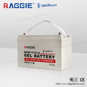 RAGGIE Baterai Gel 12V 80AH, Kapasitas Cukup untuk Inverter