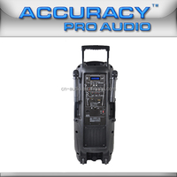 Altavoz Activo Recargable Accuracy Pro Audio PMQ210AMFQ-V2BP-BT de 15 Pulgadas, Sistema de Altavoces Profesional con Micrófono para DJ
