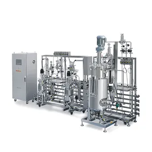 発酵槽バイオリアクタ (50L-1000L-CGMP) BLBIO-SJAイースト生産ライン
