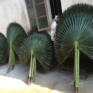 artificial palm leaves panels eucalyptus garland silk fence leaves eucalyptus hanging artificial palm leaves