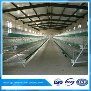 <span class=keywords><strong>Venta</strong></span> <span class=keywords><strong>de</strong></span> pollo <span class=keywords><strong>de</strong></span> cría en jaulas en batería en pakistán - Product Image 6