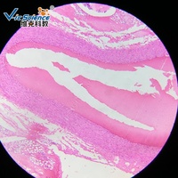 Medical Science Animal Histology Slide Set Laboratory Apparatus Slides