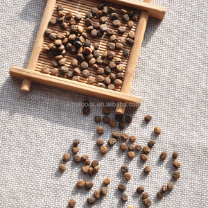 زرع بذور بذور بذور باناكس الجينسنغ الجينسنغ الطبيعية للبيع - Product Image 2