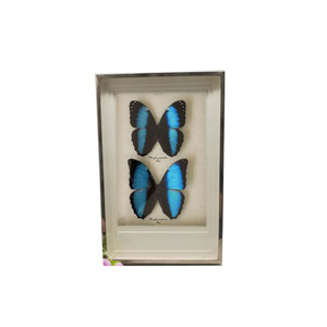 Chất lượng cao kim loại khung ảnh thiết kế mới 3D Sâu Bướm bóng hộp cho phong cảnh đối tượng - Product Image 1