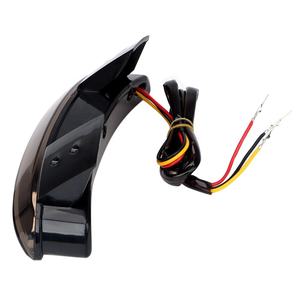 Luces Traseras LED Eagle para Guardabarros Trasero de Motocicletas Harley XL883/1200, Luces Traseras de Plástico de 12V, Accesorios - Product Image 3