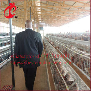 Di vendita caldo del metallo gabbia di polli da carne farm pollo di allevamento coop con ottimo prezzo - Product Image 6