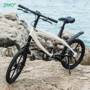 2023 entrepôt populaire 36V 240W pédale assistance vélo électrique