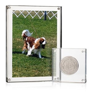 Khung Trưng Bày Tiền Xu Từ Tính Trong Suốt Tùy Chỉnh Khung Trưng Bày Huy Chương Đồng Xu Bằng Nhựa Acrylic Bảo Vệ Hoàn Hảo Cho Chip Poker - Product Image 5