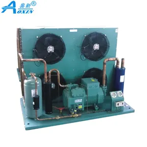 3HP-44HP Medium and Low Temperature cold storage cooling equipment Air Cooled Compressor Condensing Unit