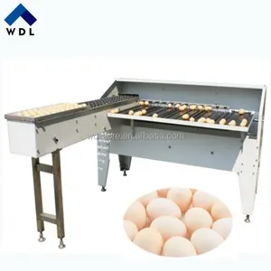 Automatic Egg Grading Machine