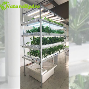 Sistemas de Cultivo Hidropónico <span class=keywords><strong>NFT</strong></span> Gully Verticales - Product Image 5