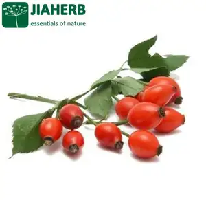 JIAHERB 18 Years 6 Factories Offer 100% Pure Natural Plant Extract Rosehip Extract 45% Vitamin C HPLC Rosa canina