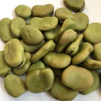 2020 Crop Broad Beans Màu Xanh Lá Cây Fava Beans 70-80 Trung Quốc Nguồn Gốc