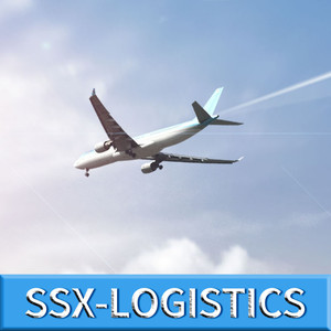 Autour du service de la Chine vers la <span class=keywords><strong>ville</strong></span> internationale de Mexico Le moins cher et fiable DDP Air <span class=keywords><strong>mer</strong></span> shipping All DHL UPS FEDEX Ship - Product Image 2