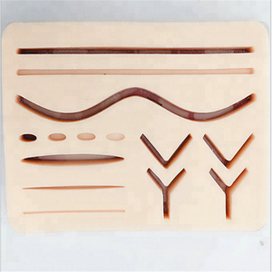 3 Lớp Da Khâu Thực Hành Pad Khoa Học Y Tế Hệ Tiêu Hóa Mô Hình Giải Phẫu Mô Hình Giáo Dục Đồ Dùng Giảng Dạy Hình Ảnh - Product Image 4