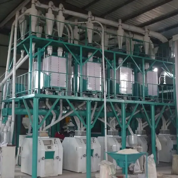 Win Tone China 50-60TPD Moulin à farine complet Projet clé en main Ligne de production de mouture de blé à vendre