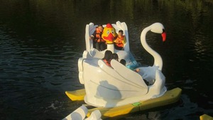 Vente flash : Bateaux à pédales Flamingo pour deux enfants, pour excursions aquatiques - Product Image 6
