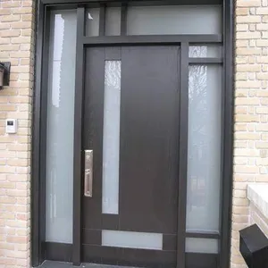 Residential Moderate Design Wrought Iron Pivot Door Main Door Designs Door With Screen