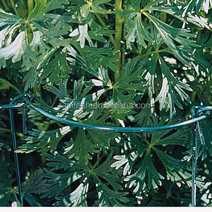 โครงเหล็กสำหรับตกแต่งสวนกลางแจ้ง - RAPITECH เหล็กชุบสังกะสี อุปกรณ์จำเป็นสำหรับสวนทุกฤดู - Product Image 3