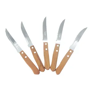 Kitchen Cutlery Cheap 6 Piece Wood Handle Flatware Steak Knife Set Stainless Steel Kitchen Knife Set