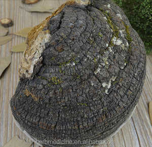 Hongo Phellinus Linteus Teng Seco Silvestre Entero, Origen Bozhou, China, Paquete <span class=keywords><strong>de</strong></span> 1KG - Product Image 3
