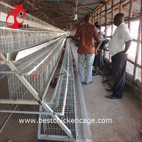 Celldeal — Cage à piles avec couche de poulet, Cage automatique plaquée, à vendre en amusant