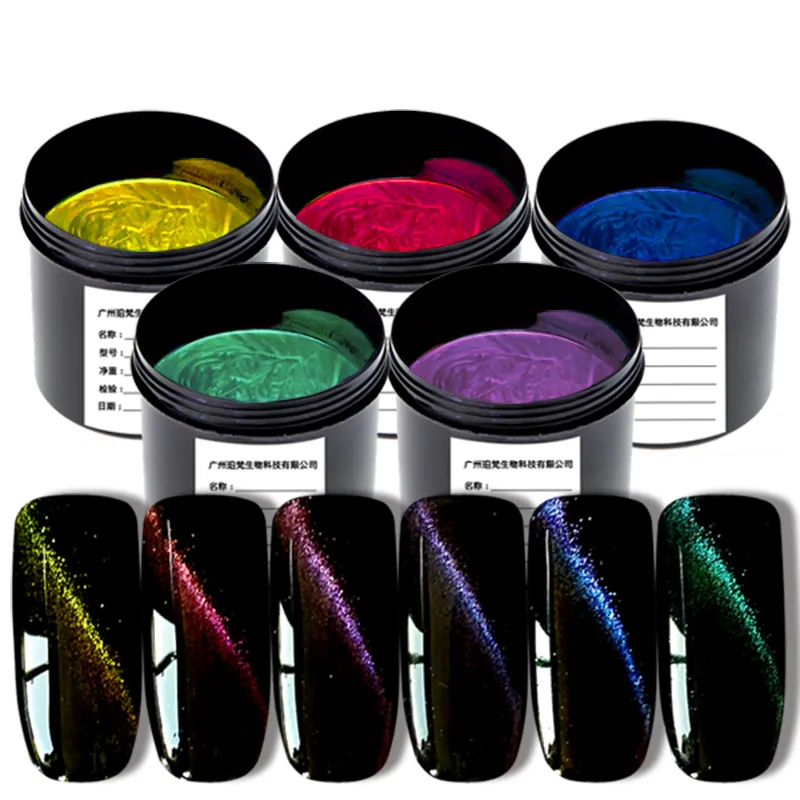 Guangzhou free samples Private Label New nail Art Brand Gel nail polish 1kg oem 3d cat eye magnet eco friendly natural resin