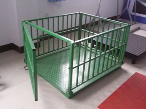 1,5-Tonnen Bodenwaage für Pferde und Rinder - Product Image 4