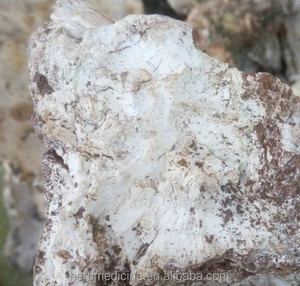 <span class=keywords><strong>Champignons</strong></span> Fomitopsis ulmaria séchés crus utilisation de thé naturel <span class=keywords><strong>champignons</strong></span> Fomitopsis ulmaria à vendre - Product Image 4