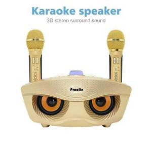 <span class=keywords><strong>Mini</strong></span> micro sans fil haut-parleur <span class=keywords><strong>Mini</strong></span> karaoké/chant/conférence <span class=keywords><strong>Mini</strong></span> haut-parleur Portable avec Double microphone série SD SD306 PLUS - Product Image 3