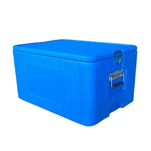 Enfriador de espuma de plástico para pescado, caja refrigeradora de plástico para transporte de medicina en sangre