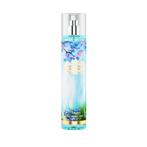 Mejor Vendedor 250 ml cosméticos cuerpo lujos Splash niebla precio - Product Image 4