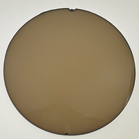 Lunettes de soleil NON polarisées, lentilles de 75mm et 80mm, 1.49 couleurs assorties, CR39, NON coupé, UV400