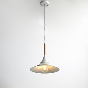<span class=keywords><strong>2019</strong></span> de moda productos cuerno colgante en forma de lámpara de iluminación interior tienda de café de luz colgante - Product Image 4