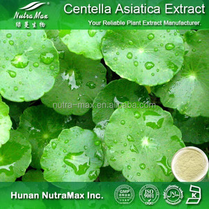 Su- çözünürlük centella asiatica ekstresi 40% asiatikozid - Product Image 6