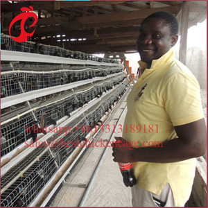 Nouvelle conception de cage d'élevage de volailles de type H, poulailler à 3 niveaux, cages à batterie pour <span class=keywords><strong>poules</strong></span> <span class=keywords><strong>pondeuses</strong></span>, vente en Algérie à bas prix - Product Image 6