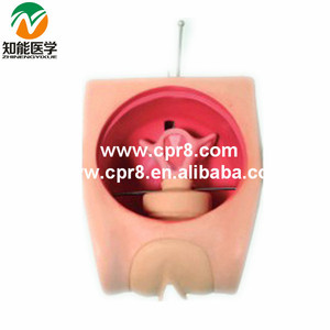 BIX-FT33B ciencia Médica <span class=keywords><strong>de</strong></span> planificación familiar DIU training modelo - Product Image 2