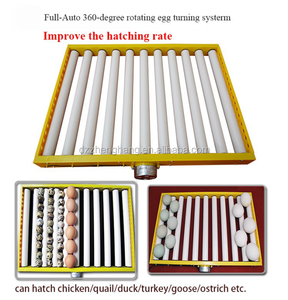 Incubatrice Industriale a Rulli ZH-180 in Vendita con Doppia Alimentazione 220V e 12V, Macchina Automatica per 200 Uova - Product Image 3