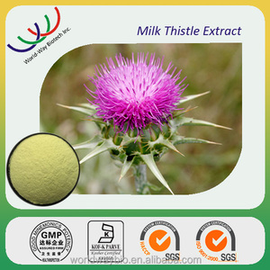 โรงงานผลิตวัตถุดิบซิลิมาริน สารสกัดจากมิลค์ทิสเซิลชนิดผง ที่ได้รับมาตรฐาน HACCP และ GMP เพื่อการปกป้องตับ - Product Image 3